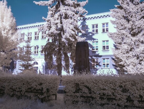 Zdjęcie Zespołu Szkolno - Przedszkolnego nr 2 w Lublinie