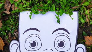 Papierowa twarz położona przy wyrastającej z chodnika roślinie